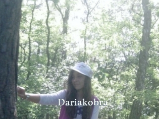 Dariakobra