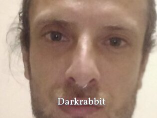 Darkrabbit