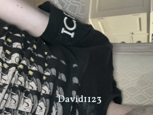 David1123