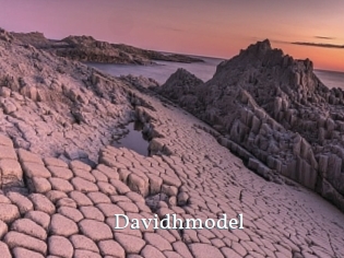 Davidhmodel