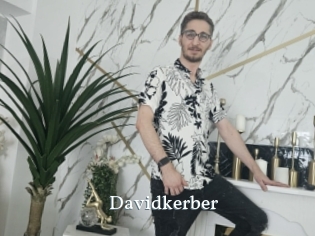 Davidkerber