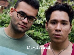 Davitschell