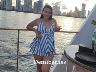 Demibarnes