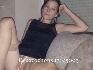 Deuxcochons