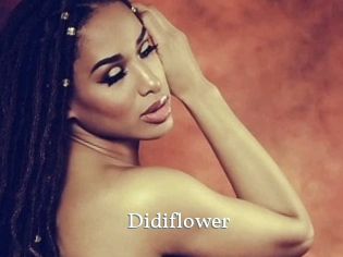 Didiflower