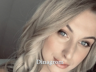 Dinagrom