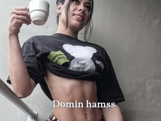 Domin_hamss