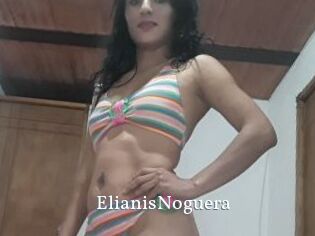 ElianisNoguera