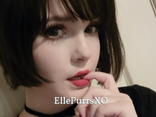 EllePurrsXO