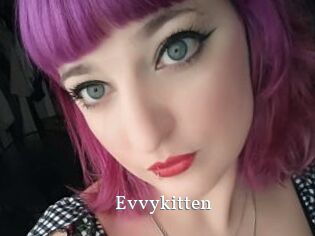 Evvykitten