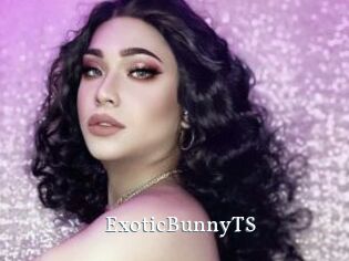 ExoticBunnyTS