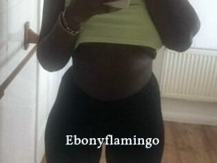 Ebony_flamingo