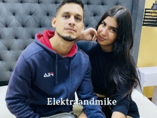 Elektraandmike