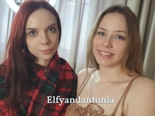 Elfyandantonia