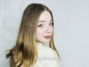 Elgaborer
