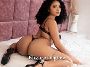 Elizarodriguez