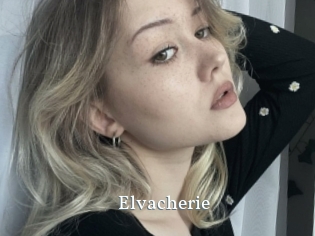 Elvacherie