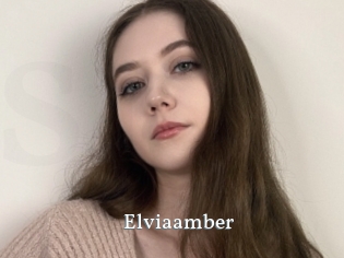 Elviaamber