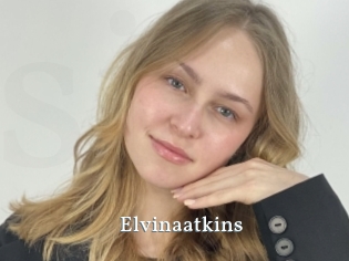 Elvinaatkins