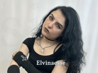 Elvinaesse