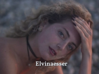 Elvinaesser
