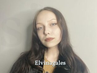 Elvinagales