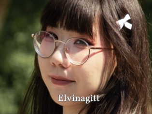 Elvinagitt