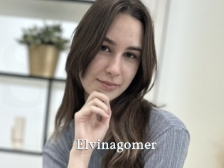 Elvinagomer