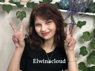 Elwinacloud