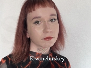 Elwinebuskey