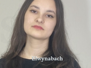 Elwynabach