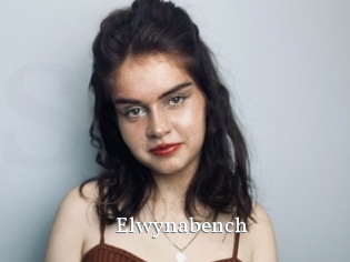 Elwynabench