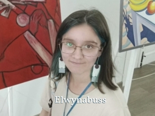 Elwynabuss