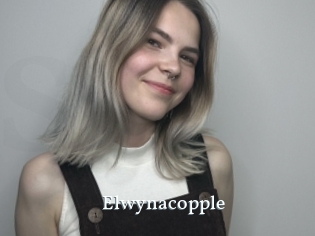 Elwynacopple