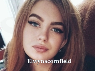Elwynacornfield