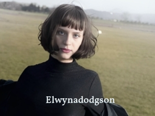 Elwynadodgson