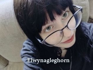 Elwynagleghorn