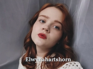 Elwynahartshorn
