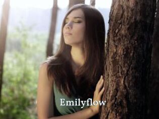 Emilyflow