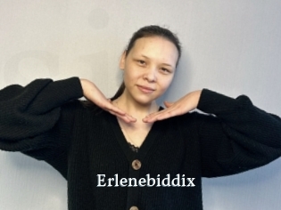 Erlenebiddix
