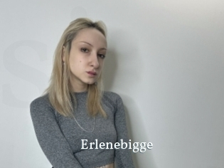 Erlenebigge
