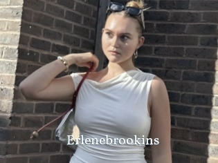 Erlenebrookins