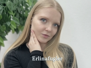 Erlinafugler