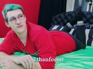 Ethanforest