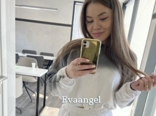 Evaangel