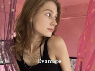Evamate