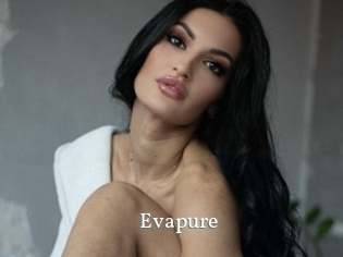 Evapure