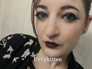 Evvykitten