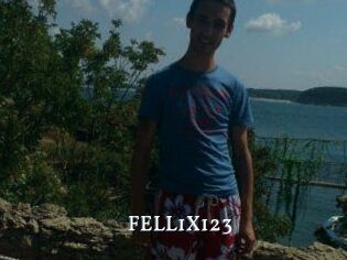 FELL1X123