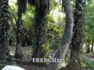 FRENCH213